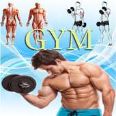 total gym exercises