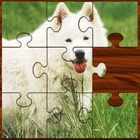 Puzzle Games: Magic Jigsaw Puzzles for Free Game