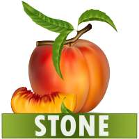 Stone Diet Renal Gall Bladder 