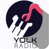 Music Mate Yolk on 9Apps