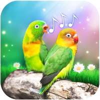 Bird Sounds and Ringtones