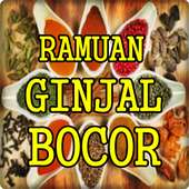 Ramuan Herbal Ginjal Bocor