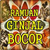 Ramuan Herbal Ginjal Bocor