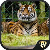 Famous Zoos Travel & Explore G on 9Apps