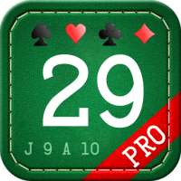 29 Card Game Pro