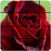 Rose Flower Puzzle