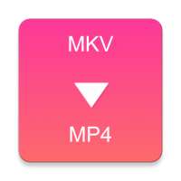 MKV to MP4 Converter on 9Apps