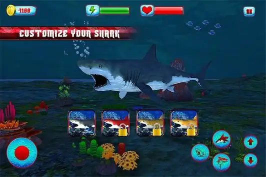 Angry Shark Revenge Shark Game - Apps on Google Play