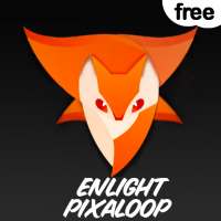 guide Enlight Pixloop for android video animator