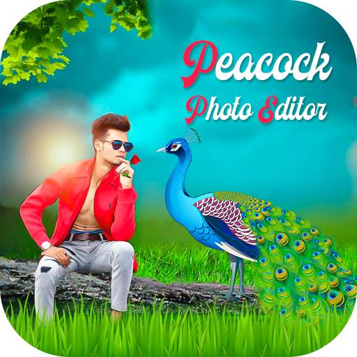 Peacock photo Editor 2019