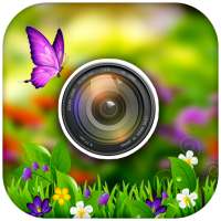 Blur Photo Background dslr Camera Effect