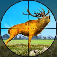 Deer Hunting Wild Animal Shooting Games 2021