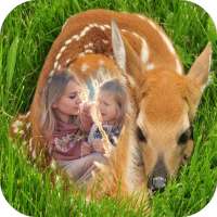 Moldura de foto de animais de bebê on 9Apps