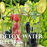 Detox Water Recipes on 9Apps