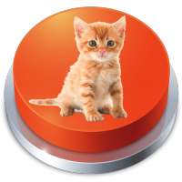 Kätzchen Meow Cat Sound Button