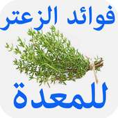 فوائد الزعتر للمعدة on 9Apps