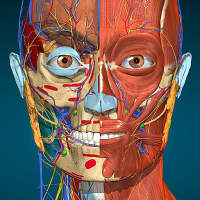 Anatomy Learning - 3D Atlas on 9Apps