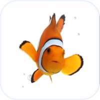 Clown Fish Animated Keyboard + Live Wallpaper