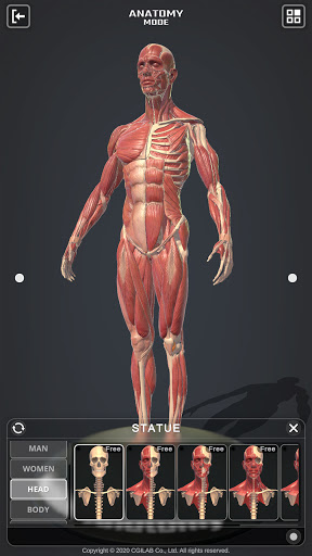 Anatomy pro. Анатомия действий про. Действия анатомия игры. Action Anatomy Pro. Взломанное Action Anatomy Pro.