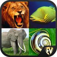 Animal Encyclopedia Complete Reference Guide Free on 9Apps