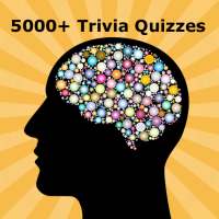 Trivia Quest - Fun Trivia Questions & Quizzes Game on 9Apps