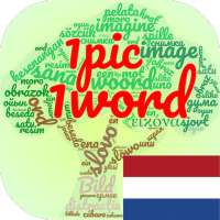 Words Of Pictures 2019 (Nederlands)