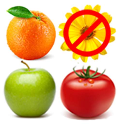 Овощи и фрукты - Учим слова