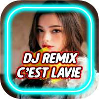 DJ Cest La Vie Remix 2020 on 9Apps