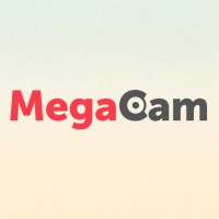 Megacam NVR