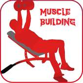 Muscle building on 9Apps