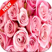 Pink Rose Wallpaper - Rose Wallpaper