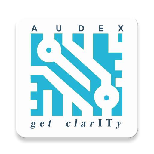 Audex Logistic & SCM Solutions