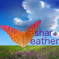 ShareWeather