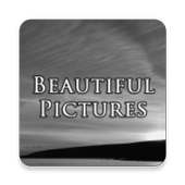 Beautiful Pictures