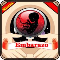 Embarazo - Semana por Semana on 9Apps