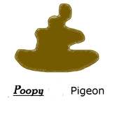 PoopyPigeon