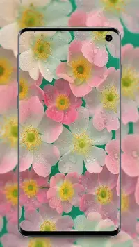 꽃 배경 화면 앱 다운로드 2023 - 무료 - 9Apps