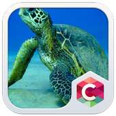 Sea Turtles CLauncher Theme