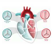 AIIMS Anticoagulant on 9Apps