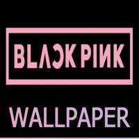 BLACKPINK Wallpaper - HD Wallpaper, Images, Video