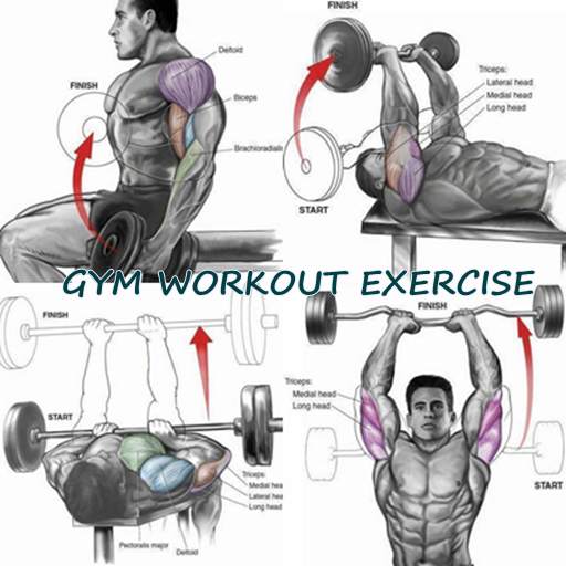 Gym Workout Routine Exercise