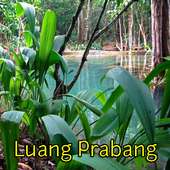 Luang Prabang Attractions on 9Apps