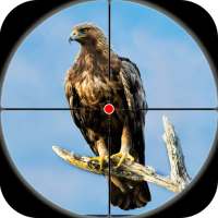 Desert Sniper Sniper Shooter - Bird Hunting 2019