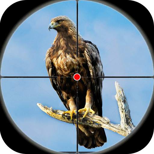 Desert Birds Sniper Shooter 3D