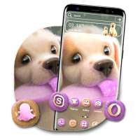 Cute Puppy Launcher Theme