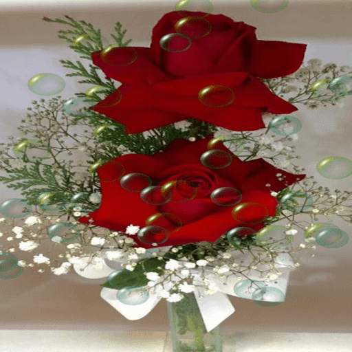 Red Roses Bubble LWP