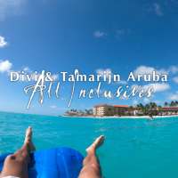 Divi&Tamarijn Aruba on 9Apps