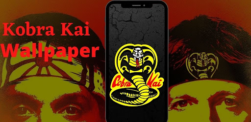 Cobra Kai Stone Background 2K wallpaper download