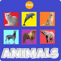 English For Kids-Animals on 9Apps