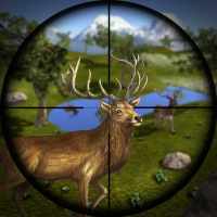 Wild Deer Hunting Adventure: Animal Shooting 2020
